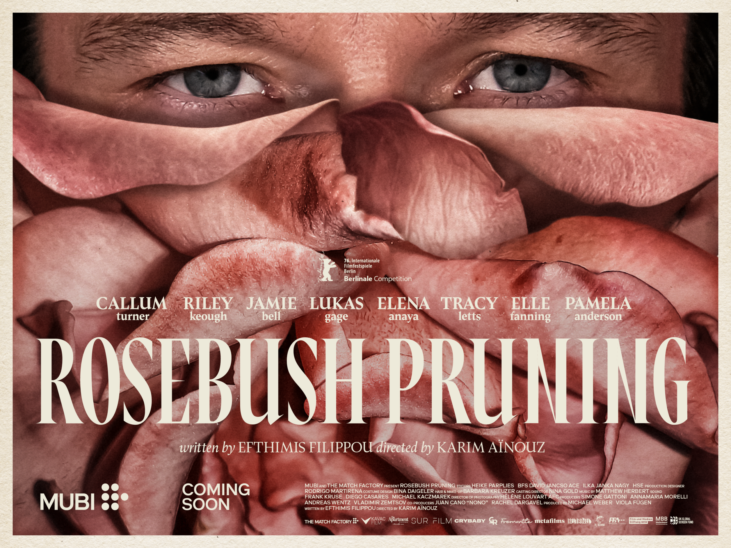 Rosebush Pruning
